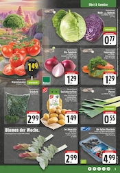 Aktueller E center Prospekt mit Tomaten, "Aktuelle Angebote", Seite 7