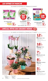 Plantes Angebote im Prospekt "Super U" von Super U auf Seite 32