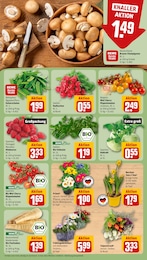 REWE Farbe im Prospekt REWE Farbe im Prospekt