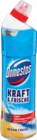 WC-Gel Angebote von Domestos bei Netto Marken-Discount Bietigheim-Bissingen für 1,69 €