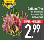 E center Gaimersheim - Calluna Trio Angebot im Prospekt Calluna Trio bei E center im Gaimersheim Prospekt für 2,99 €
