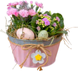 Ostergruß in der Zinkschale Angebot im Pflanzen Kölle Prospekt Ostergruß in der Zinkschale im Pflanzen Kölle Prospekt zum Preis von 16,99 €