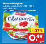 Obstgarten von Ehrmann im aktuellen Netto Marken-Discount Prospekt für 0,49 €