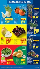 Salat Angebote im Prospekt "LIDL LOHNT SICH" von Lidl auf Seite 5