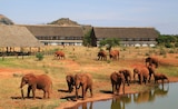Kenia Safari-Erlebnis & Baden für 1.599,00 € bei Lidl im Angebot Kenia Safari-Erlebnis & Baden im aktuellen Lidl Prospekt