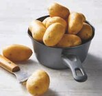 Pomme de terre de consommation lavée - Super U à Yerres Pomme de terre de consommation lavée en promo chez Super U Yerres à 2,49 €
