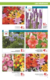 Offre Bulbes à fleurs dans le catalogue Super U du moment à la page 3