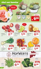Tomaten im Markant Nordwest Prospekt in Löhne Aktueller Markant Nordwest Prospekt mit Tomaten, "DER MARKT FÜR GUTES ESSEN UND TRINKEN", Seite 4