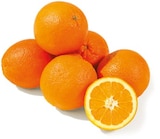 Orangen für 3,99 € bei Netto mit dem Scottie im Angebot Orangen im aktuellen Netto mit dem Scottie Prospekt