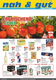 nah und gut Prospekt für Stollberg mit 4 Seiten nah und gut Prospekt für Stollberg: "Wir lieben Lebensmittel!", 4 Seiten, 23.06.2025 - 28.06.2025