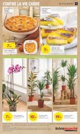 Fleurs Angebote im Prospekt "LA FIN DES VACANCES C'EST NUL ALORS ON VOUS LA REMBOURSE" von Intermarché Fleurs Angebote im Prospekt "LA FIN DES VACANCES C'EST NUL ALORS ON VOUS LA REMBOURSE" von Intermarché auf Seite 13