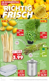 Aktueller Kaufland Prospekt mit Pflanzen, "KNÜLLER", Seite 14