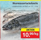 Meerwasserlachsforelle im Angebot bei Zimmermann in Magdeburg Meerwasserlachsforelle Angebote bei Zimmermann Magdeburg für 10,99 €