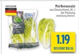 Mini Romanasalat bei diska im Prospekt "" für 1,19 €