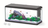 Aquarium explorer amsterdam 80 aquatlantis équipé - AQUATLANTIS à 99,99 € dans le catalogue Truffaut