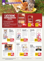 Offre Croquettes chat adulte dans le catalogue Animalis du moment à la page 2