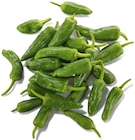 METRO Salach - Bratpaprika Angebot im Prospekt Bratpaprika bei METRO im Salach Prospekt für 1,05 €