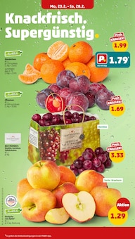 Obst im Penny Prospekt "Wer günstig will, muss Penny." mit 51 Seiten (München)