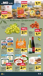 Romatomaten Angebot & Preis im aktuellen Netto mit dem Scottie Prospekt Romatomaten Angebot im aktuellen Netto mit dem Scottie Prospekt auf Seite 16
