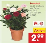 Rosentopf im Netto Marken-Discount Prospekt Rosentopf von im aktuellen Netto Marken-Discount Prospekt fĂŒr 2,99 âŹ