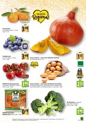 Tomaten im E center Prospekt in Göppingen Aktueller E center Prospekt mit Tomaten, "Aktuelle Angebote", Seite 7