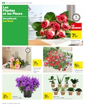 Fleurs Angebote im Prospekt "Carrefour" von Carrefour Fleurs Angebote im Prospekt "Carrefour" von Carrefour auf Seite 18