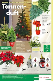 Zimmerpflanzen im aktuellen BayWa Bau- und Gartenmärkte Prospekt (Nürnberg) Zimmerpflanzen im BayWa Bau- und Gartenmärkte Prospekt "Hier bin ich gern" mit 16 Seiten (Nürnberg)