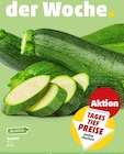 Aktuelle Zucchini Angebote bei Penny in Dortmund Aktuelles Zucchini Angebot bei Penny in Dortmund