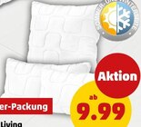 Sommer-Winter-Kopfkissen im Angebot bei Penny in Hoyerswerda Sommer-Winter-Kopfkissen Angebote bei Penny Hoyerswerda für 9,99 €