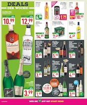 Aktueller Marktkauf Prospekt mit Mumm, "Aktuelle Angebote", Seite 14