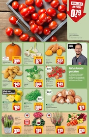 Ähnliche Angebote wie Blumenerde im Prospekt "Dein Markt" auf Seite 7 von REWE in Brandenburg