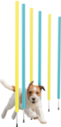 Accessoire Agility pour chien - ZOOFARI en promo chez Lidl Chatou à 11,99 €