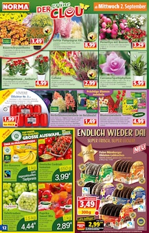 Bananen im aktuellen Norma Prospekt (München) Bananen im Norma Prospekt "Mehr fürs Geld" mit 28 Seiten (München)