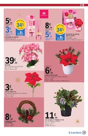 Promos Fleur En Pot dans le catalogue "VOS PRÉPARATIFS DE NOËL à prix E.Leclerc" de E.Leclerc à la page 119