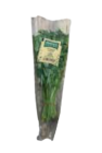 XXL Kräuterbunde Dill, Minze und Koriander im Marktkauf Prospekt XXL Kräuterbunde Dill, Minze und Koriander von im aktuellen Marktkauf Prospekt für 1,79 €