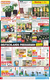 Ähnliche Angebote wie Gartentor im Prospekt "Mehr fürs Geld" auf Seite 2 von Norma in Brandenburg