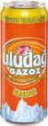 Gazoz bei Netto Marken-Discount im Prospekt "" für 0,69 €