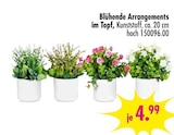 Blühende Arrangements im Topf im Angebot bei SB Möbel Boss in Neubrandenburg Blühende Arrangements im Topf Angebote bei SB Möbel Boss Neubrandenburg für 4,99 €