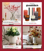 Pflanzen im Blumen Ostmann Prospekt in Delmenhorst Aktueller Blumen Ostmann Prospekt mit Pflanzen, "WEIHNACHTS-KNALLER", Seite 3