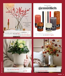 Pflanzen im aktuellen Blumen Ostmann Prospekt (Bremen) Pflanzen im Blumen Ostmann Prospekt "WEIHNACHTS-KNALLER" mit 9 Seiten (Bremen)