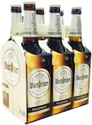 Aktuelles Premium Pils Angebot bei Penny in Buchholz (Nordheide) ab 3,99 €