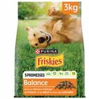 Croquettes pour chien adulte au poulet et légumes - FRISKIES en promo chez Intermarché Béziers à 2,95 €