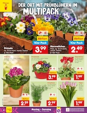 Aktueller Netto Marken-Discount Prospekt mit Blumen, "Aktuelle Angebote", Seite 6