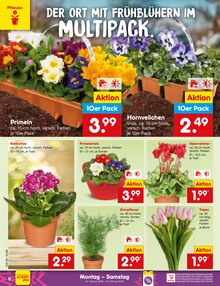 Blumen im Netto Marken-Discount Prospekt "Aktuelle Angebote" mit 54 Seiten (Jena)