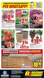 Blumentopf im B1 Discount Baumarkt Prospekt in Bergkamen Aktueller B1 Discount Baumarkt Prospekt mit Blumentopf, "BESTPREISE DER WOCHE!", Seite 8