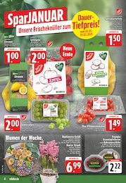 Kartoffeln Angebot im aktuellen EDEKA Prospekt auf Seite 4