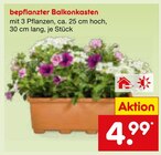 Aktuelles bepflanzter Balkonkasten Angebot bei Netto Marken-Discount in Karlsruhe ab 4,99 €