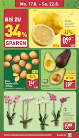 Zimmerpflanzen im ALDI Nord Prospekt in Hamm Aktueller ALDI Nord Prospekt mit Zimmerpflanzen, "Aktuelle Angebote", Seite 3