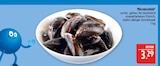 Miesmuscheln im Angebot bei Marktkauf in Erlangen Miesmuscheln Angebote bei Marktkauf Erlangen für 3,29 €