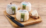 Chevrot moulé à la louche - Laiterie Terre de Sèvre - Super U à Niort Chevrot moulé à la louche - Laiterie Terre de Sèvre en promo chez Super U Niort à 4,19 €